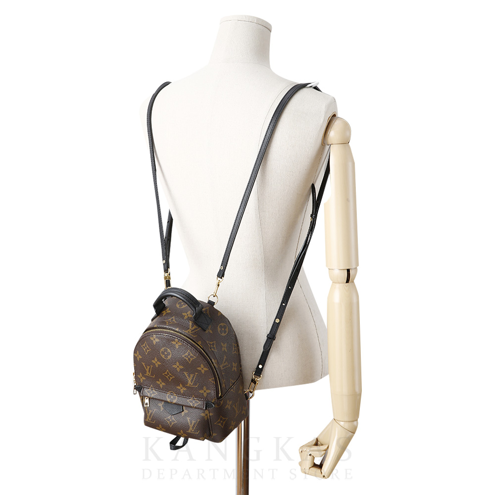LOUIS VUITTON(USED)루이비통 팜 스프링스 미니 백팩